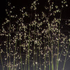 Quaking Grass, 100 Seeds