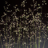 Quaking Grass, 1,000 Seeds